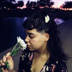 Perfect/Make You Feel My Love