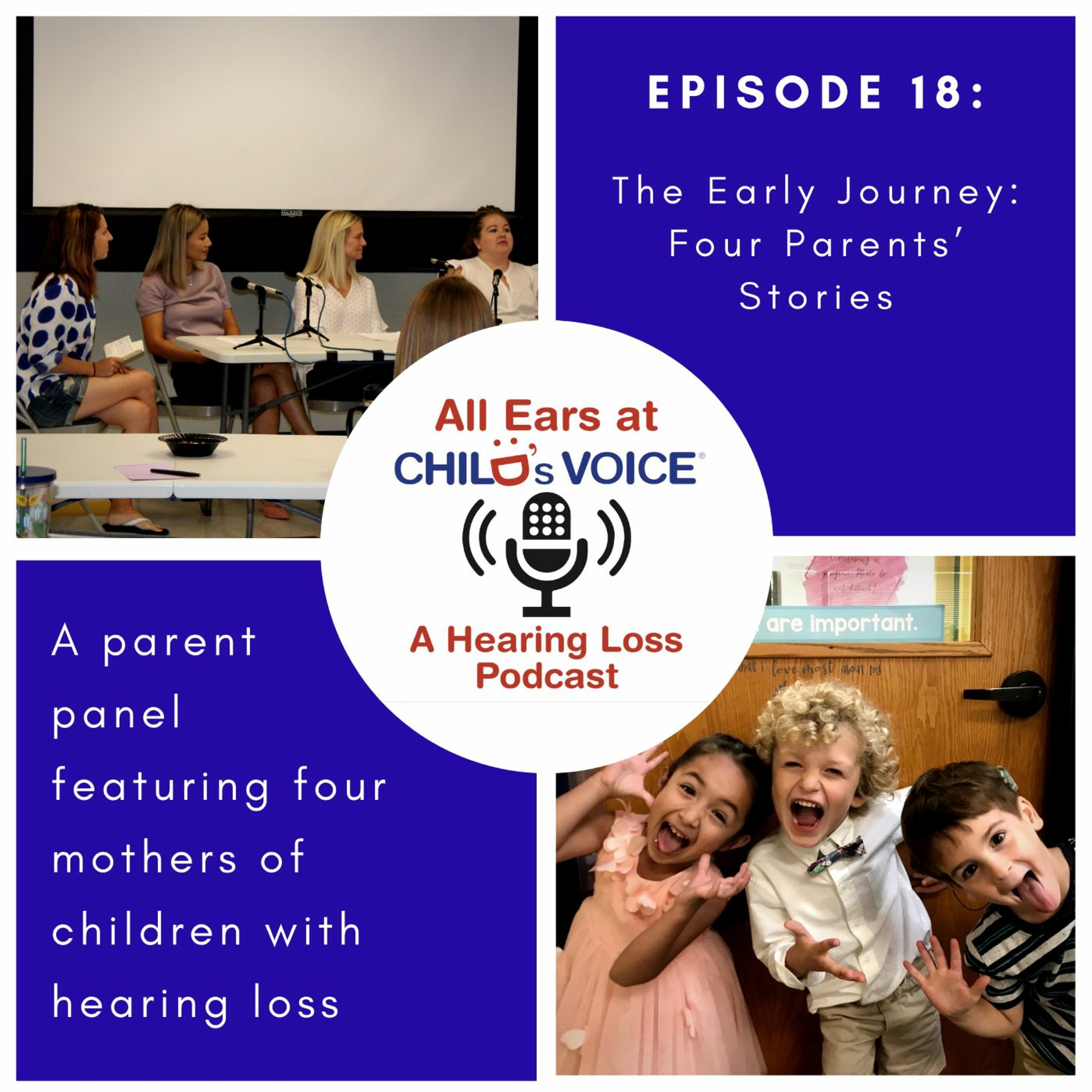 18. The Early Journey: Four Parents' Stories