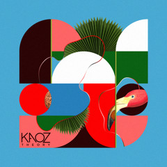 Voyeur - Acid Test [Kaoz Theory] (Clip)