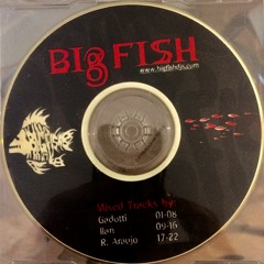 Big Fish Djs - Mixed tracks by Gadotti, Ilan e R. Araujo