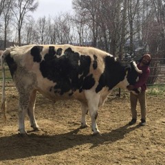 Tell You What   ( feat. OTH3RSYDE)