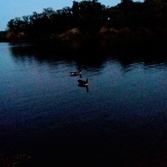 These 3 Words (Liquid Streets Roy Hargrove)