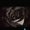 Where I Was Raised(Prod.By CashMoneyAp)
