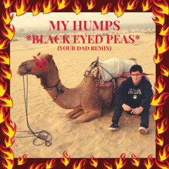 Black Eyed Peas - My Humps (Your Dad Is Lit Remix)