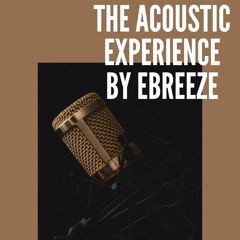 The Acoustic Experience