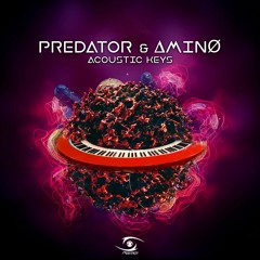 Predator & Amino - Acoustic Keys [PREVIEW]  [Release Date 07.10]