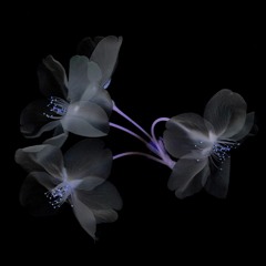 Lorenzo Montanà - Hyiou (Herhangi/Edit)