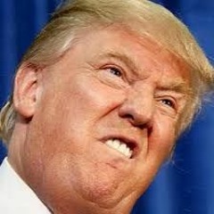 ZEDS DEAD X Peekaboo X G - Rex X Virtual Riot - Beginning To QUAKE [Moses Edit]