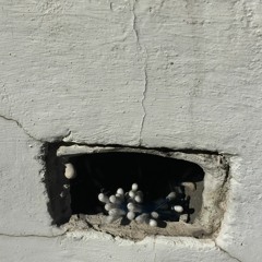 the/walls/have/ears/too