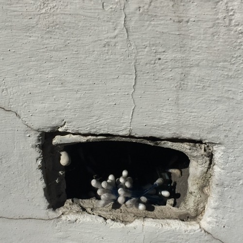 the/walls/have/ears/too