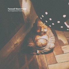 Farewell Warm Fields - My Enlightened Friends PREVIEWS