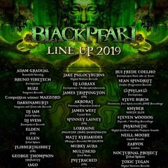 Faerie Pirates Black Pearl - Vibetech Set