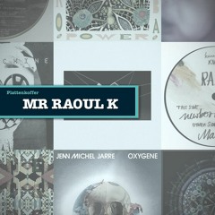 Plattenkoffer: Mr Raoul K