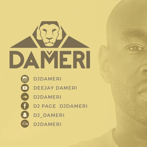 Dameri - My Grapevine (Promoversion) (FULL DOWNLOAD IN DESCRIPTION)
