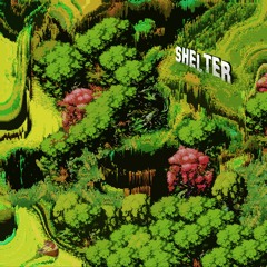 shelter