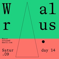 Walrus at Horst Arts & Music Festival 2019