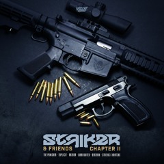 Striker & Warfighter - Return From Battlefield [VDR013]
