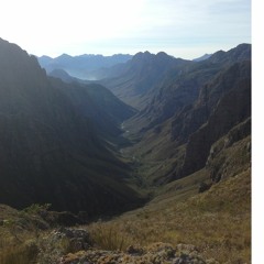 Gone (prod. by RottenLuke)