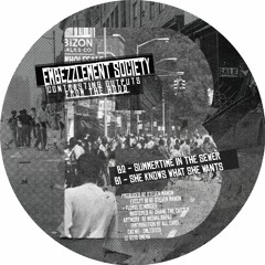 Embezzlement Society - Summertime In The Sewer (OMLTD009)