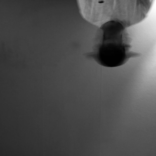 Skelet (buy=free download)