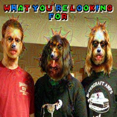 What You're Looking For