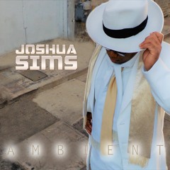 Joshua Sims - Let Me Love You