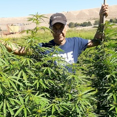 Jerry's Talk at Oberlin College