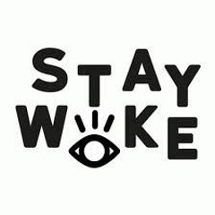 ~ Mike Moves PLK ~ Stay Woke instrumental