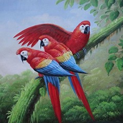 A Night at Tailfeather 4