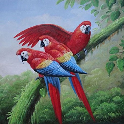 A Night at Tailfeather 4