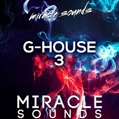 MS064 Miracle Sounds - G House 3