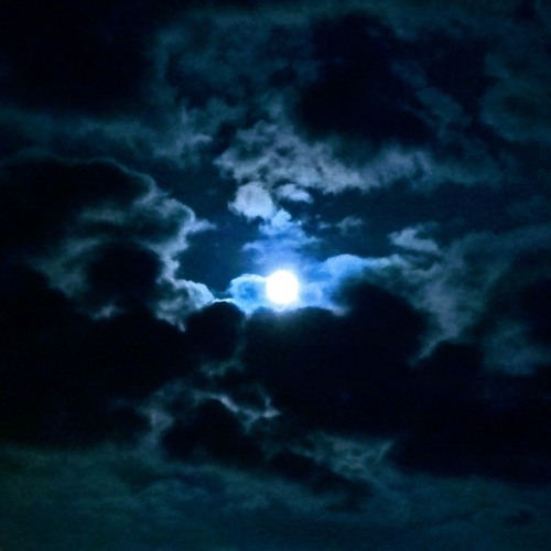Gleams In The Shadows