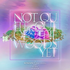 Retrospect (feat. Leizel)