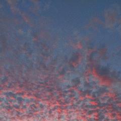 we dream but we don’t sleep w/frankjavcee