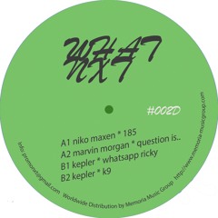 Niko Maxen - 185 (SNIPPET) [WHXD002]