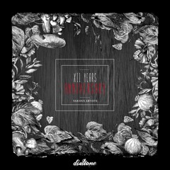 Josh Wetherington, Mr.Malone - Remember The Future (Original Mix)[Dialtone Records]