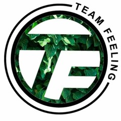 Team Feeling 3B🤙🏼 11 Feat Zincou.mp3