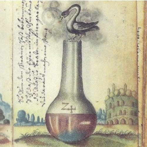 SWAN 01