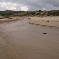 FKISM: Carrickalinga Creek estuary, Carrickalinga Beach (underwater recording) - May 2015