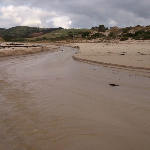 FKISM: Carrickalinga Creek estuary, Carrickalinga Beach (underwater recording) - May 2015
