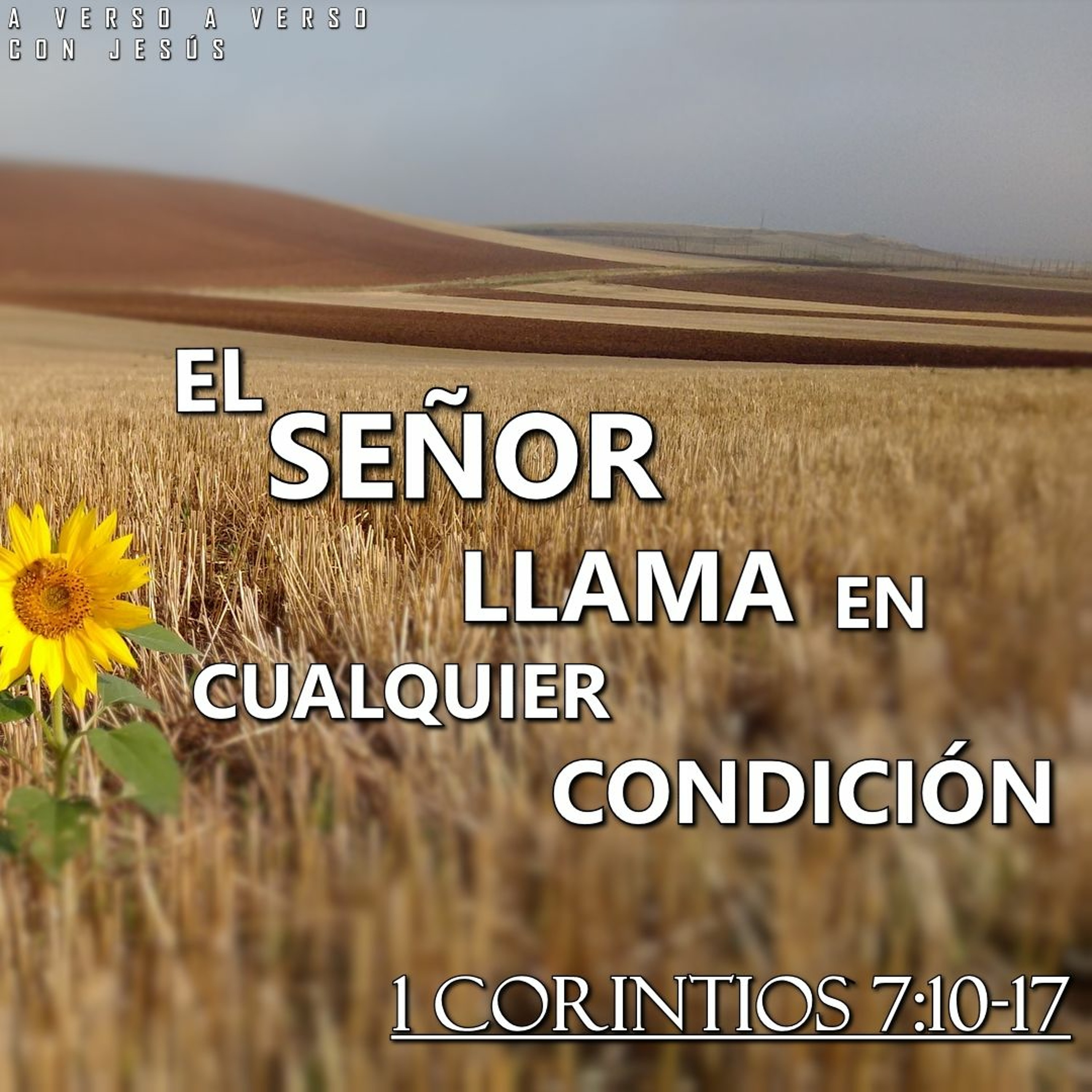 Ministerio Verso a Verso con Jesús