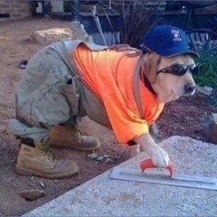 Suck my ass dog