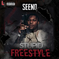 SEEN-STUPID FREESTYLE