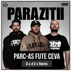 Parazitii - Parc-as fute ceva (Q o d ë s Remix)