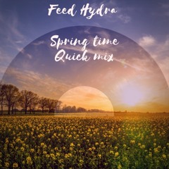 Spring Time Vibes (Vinyl Vs DVS Quick Mix)