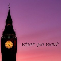 Whant You Want  (Prod. Flockaboi)