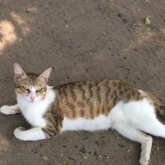 小さな喫茶店(kimochi memo)