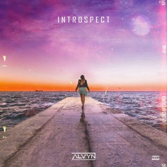 Introspect 003