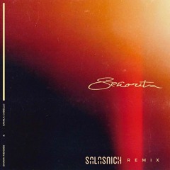 Shawn Mendes & Camilla Cabello - Señorita (Salasnich Remix)