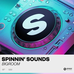 Spinnin' Sounds - Big Room Sample Pack (Audio)